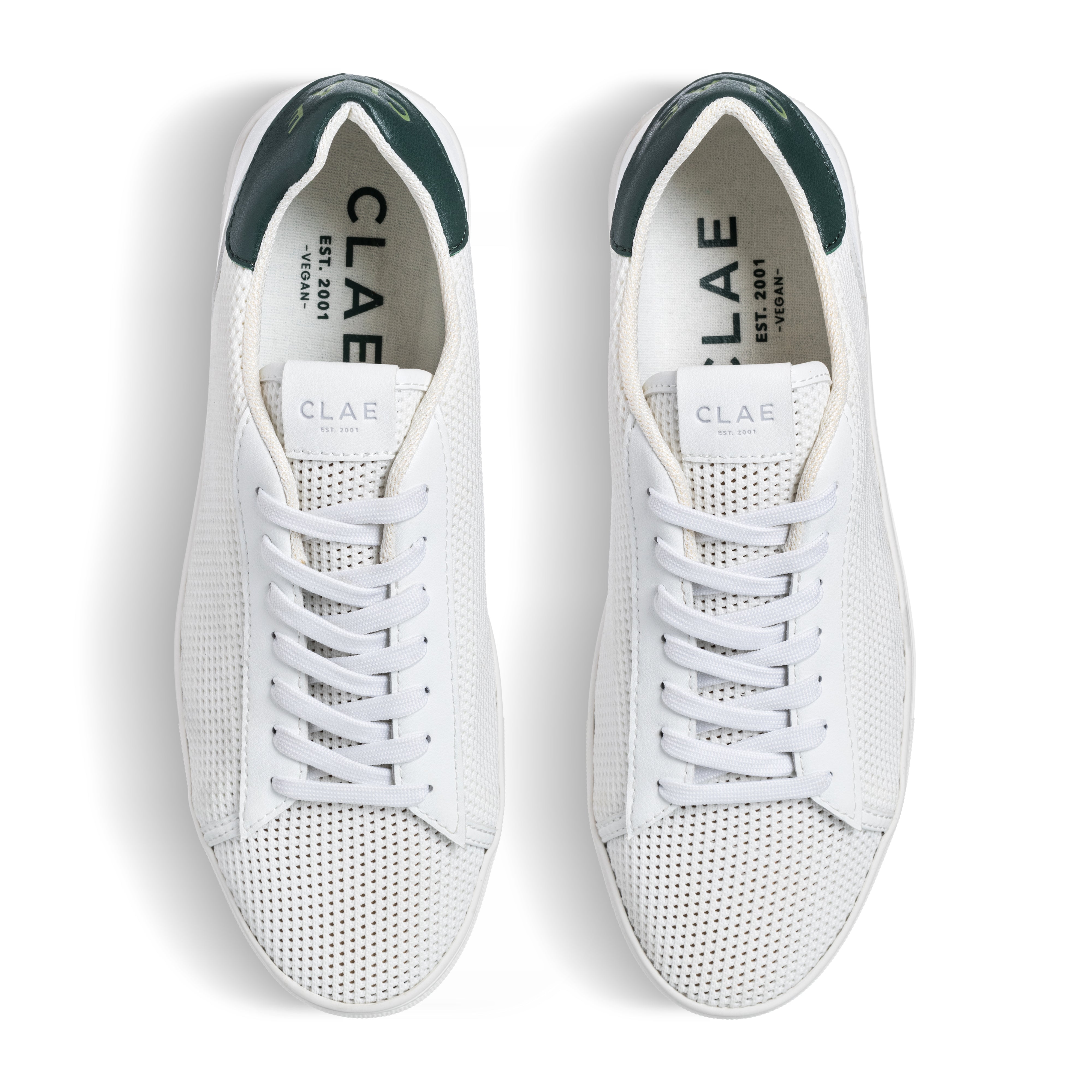 Top view of Bradley Knit shoe in White Pine Needle, showing knitted SEAQUAL® YARN upper and lace details.