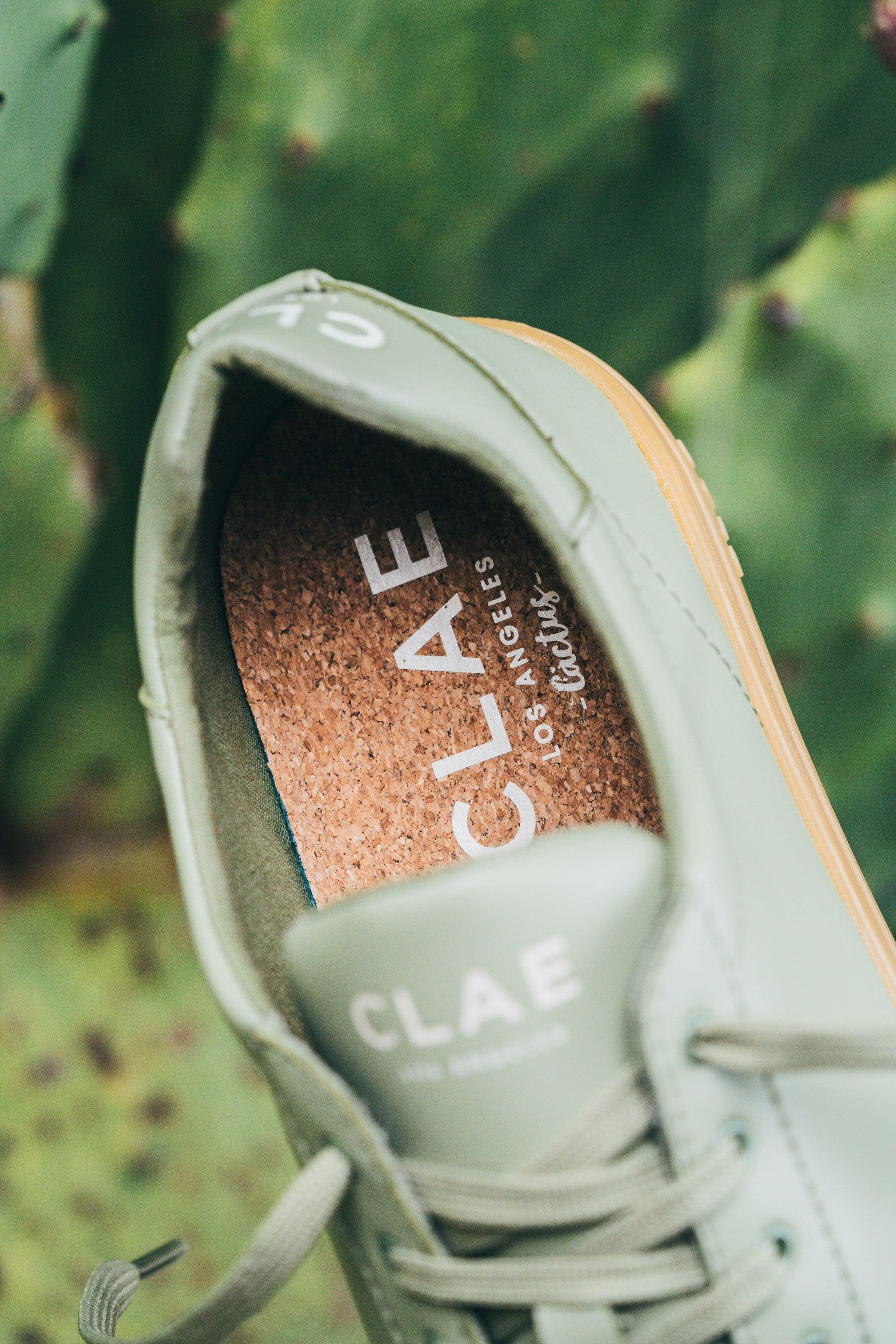 BRADLEY CACTUS - CLAE