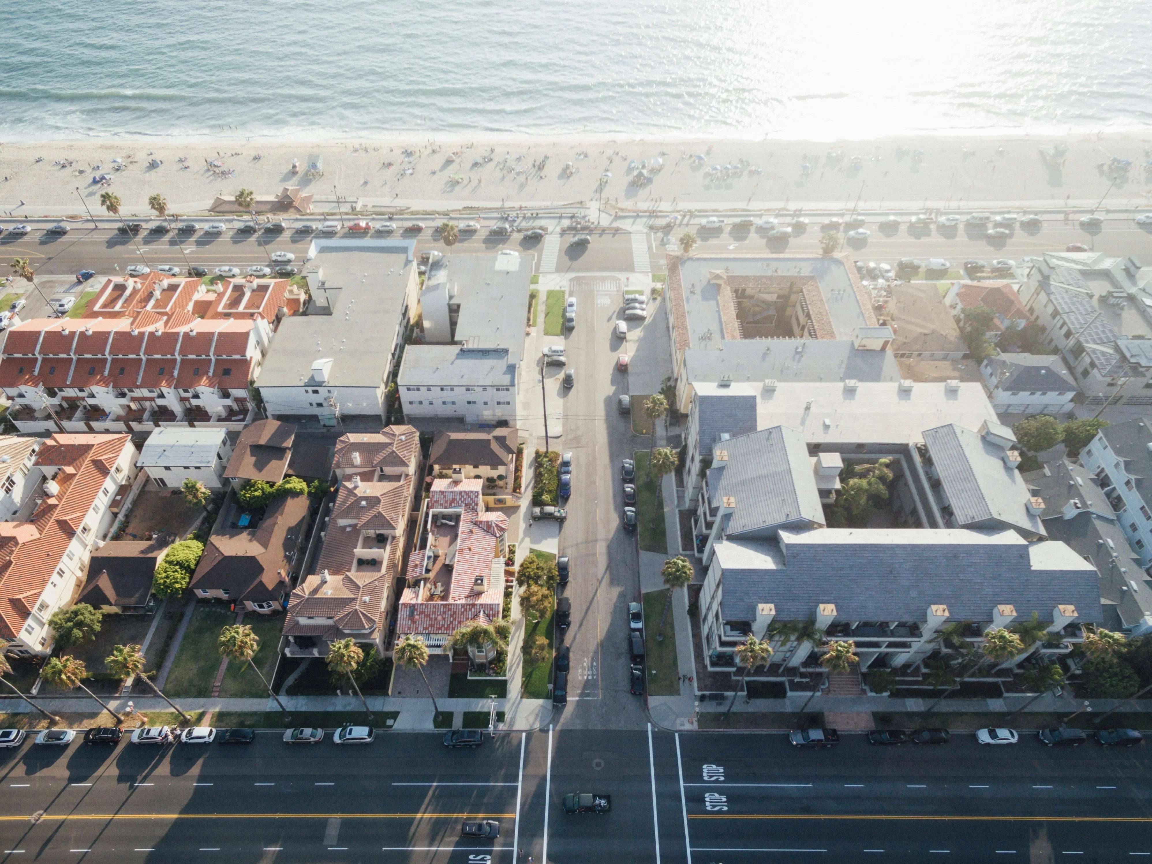 New Collection - CLAE